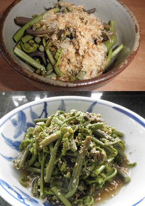 めんつゆでわらびの鰹節おひたしと胡麻和え-レシピのメイン写真