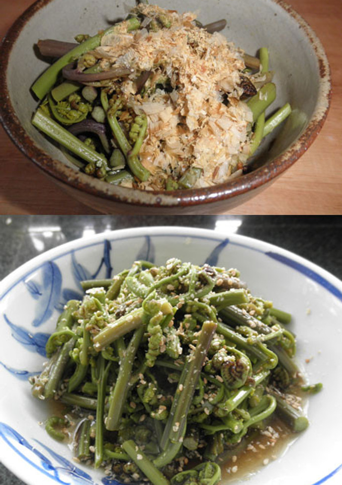 めんつゆでわらびの鰹節おひたしと胡麻和え-レシピのメイン写真