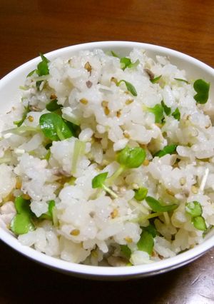 超簡単！ひとり分からの鯛めし-レシピのメイン写真