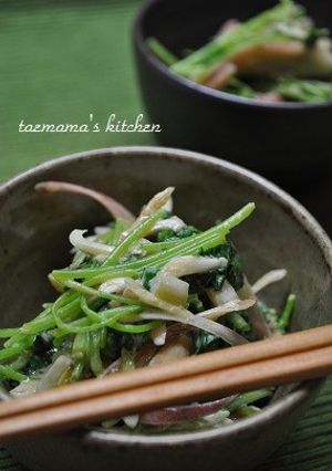 三つ葉とみょうがの胡麻味噌和え-レシピのメイン写真