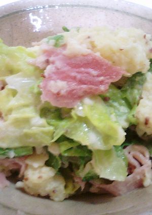 春キャベツたっぷりのポテトサラダ-レシピのメイン写真