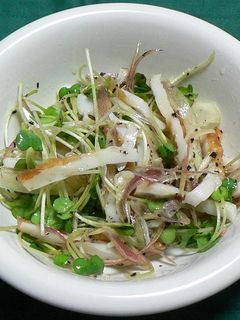 ちくわ・ミョウガ・かいわれ菜のサラダ-レシピのメイン写真