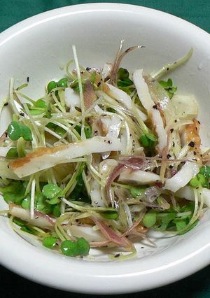 ちくわ・ミョウガ・かいわれ菜のサラダ-レシピのメイン写真