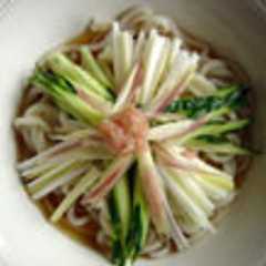 薬味たっぷり梅冷やしうどん-レシピのメイン写真