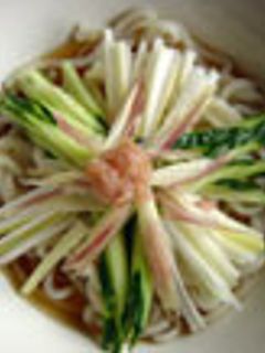 薬味たっぷり梅冷やしうどん-レシピのメイン写真