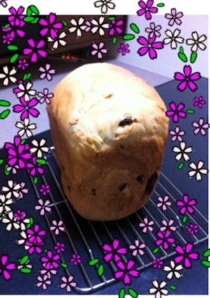 HB＊基本の食パン(アレンジレシピも)-レシピのメイン写真