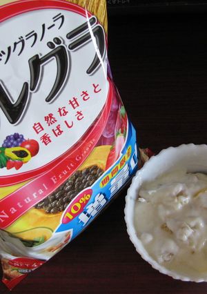 さっぱり！フローズンヨーグルト☆-レシピのメイン写真