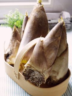 たけのこの茹で方-レシピのメイン写真