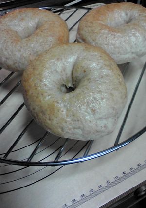 キタノカオリと全粒粉のBagel-レシピのメイン写真