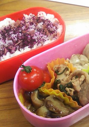 本日のお弁当　９-レシピのメイン写真