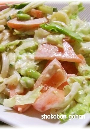 ごぼうが美味しい☆うちのサラダうどん-レシピのメイン写真