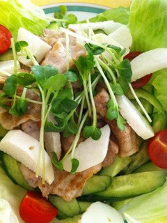 豚肉のサラダ-レシピのメイン写真