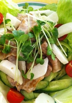 豚肉のサラダ-レシピのメイン写真