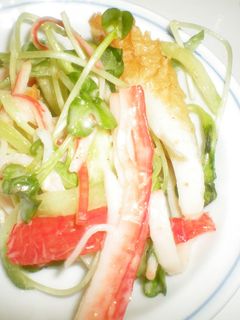 カイワレサラダ-レシピのメイン写真