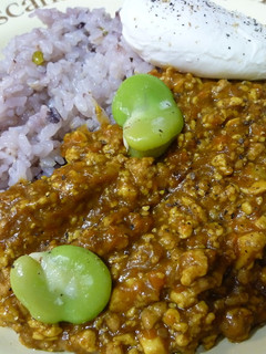 ヘルシー♪ 油を使わないキーマカレー-レシピのメイン写真