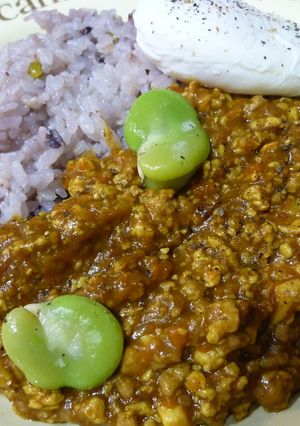 ヘルシー♪ 油を使わないキーマカレー-レシピのメイン写真