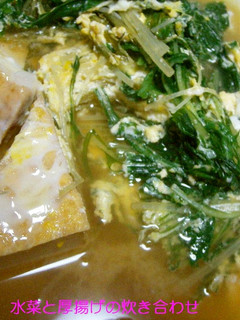 簡単♪水菜と厚揚げの炊き合わせ-レシピのメイン写真