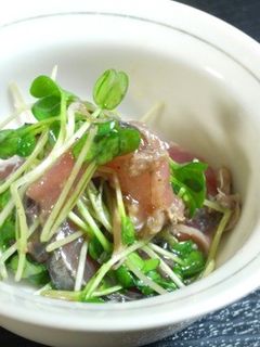 鰹のたたきとカイワレ大根の和え物-レシピのメイン写真