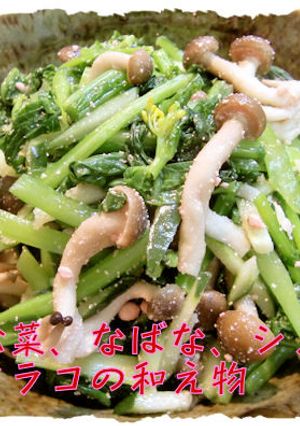 白出しで【菜の花、小松菜のタラコ和え】♪-レシピのメイン写真