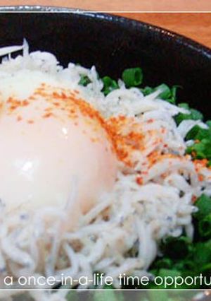 早い簡単美味い♪しらすネギ丼-レシピのメイン写真
