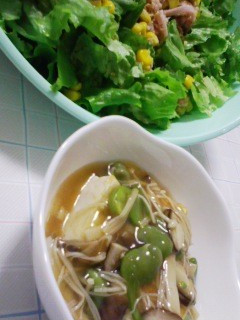 ★揚げだし豆腐 あんかけふぅ~(^v^)-レシピのメイン写真