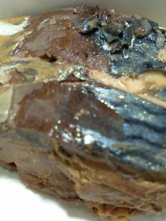高圧力鍋でサバの甘辛醤油煮 缶詰風-レシピのメイン写真