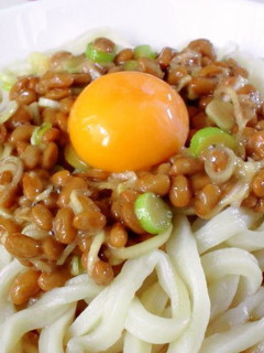 さっぱり納豆うどん-レシピのメイン写真
