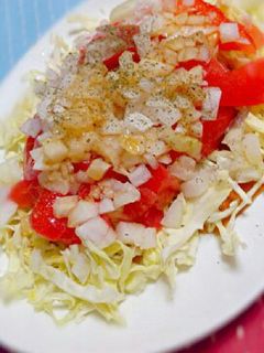 めちゃうま!トマトと玉ねぎのサラダ♪-レシピのメイン写真