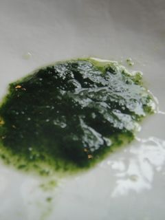 ★離乳食★【初期】ほうれん草のすりつぶし-レシピのメイン写真