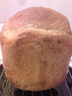 ヴィーガン対応 ノンオイル フランスパン-レシピのメイン写真