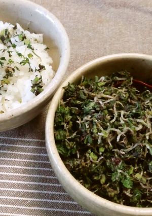 ご飯がすすむ♪じゃこと菜っ葉のふりかけ-レシピのメイン写真