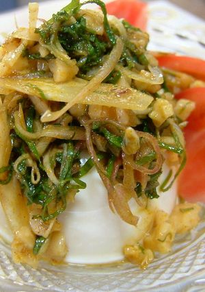 スパイシー☆薬味冷奴-レシピのメイン写真