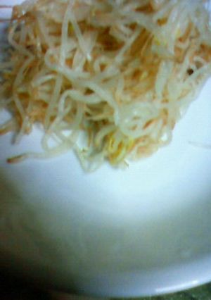 ☆レンチン もやし-レシピのメイン写真