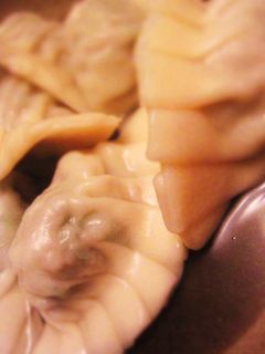 餃子の皮-レシピのメイン写真