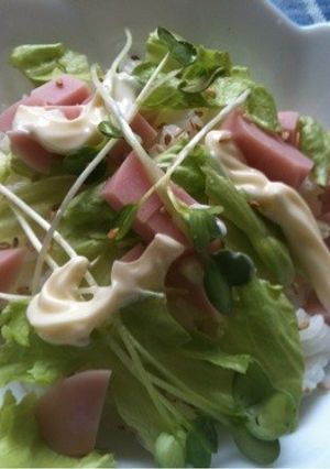 お手軽簡単‼一人分から出来るサラダチラシ-レシピのメイン写真