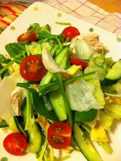 ささみと野菜のサラダ-レシピのメイン写真