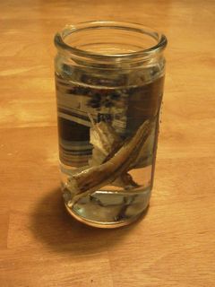 カップ酒で簡単いりこ酒-レシピのメイン写真