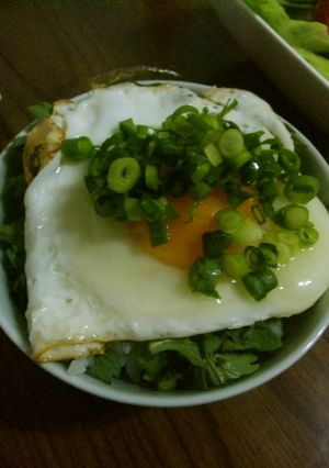 卵かけご飯♪残り物の春菊で最高( ´∀`-レシピのメイン写真