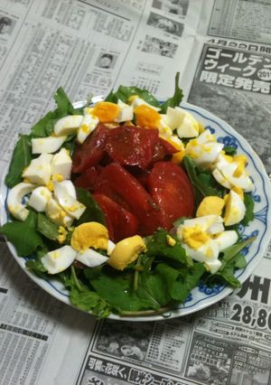 ルッコラとトマトのサラダ＠研修ランチ-レシピのメイン写真