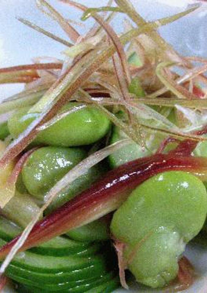 そら豆の和風サラダ-レシピのメイン写真