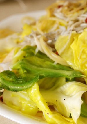 春キャベツと筍のパスタ-レシピのメイン写真