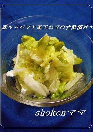 爽やか！春キャベツと新玉ねぎの甘酢漬け♪-レシピのメイン写真