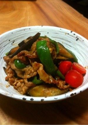 豚肉とナスの炒めもの-レシピのメイン写真