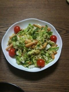絶品‼白菜サラダ-レシピのメイン写真