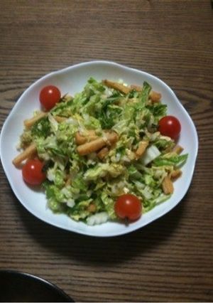 絶品‼白菜サラダ-レシピのメイン写真