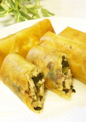 ご飯がすすむ♪ 高菜と豚の春巻き-レシピのメイン写真