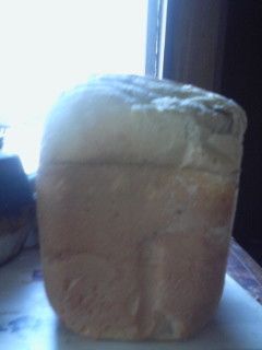 酵母作り最後-レシピのメイン写真