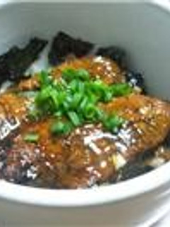 お手軽♪さんまの蒲焼丼-レシピのメイン写真
