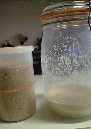 だれでもできる！酒粕で自家製酵母-レシピのメイン写真