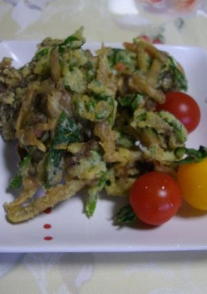 牛ごぼうのかき揚げ-レシピのメイン写真